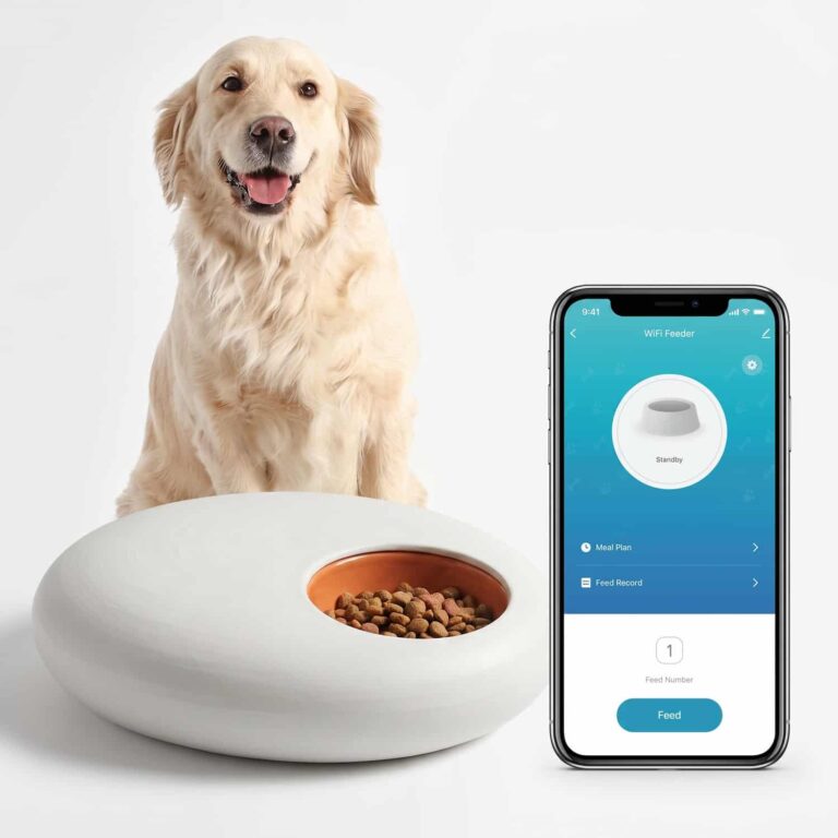 Orbit 5-Meal Feeder