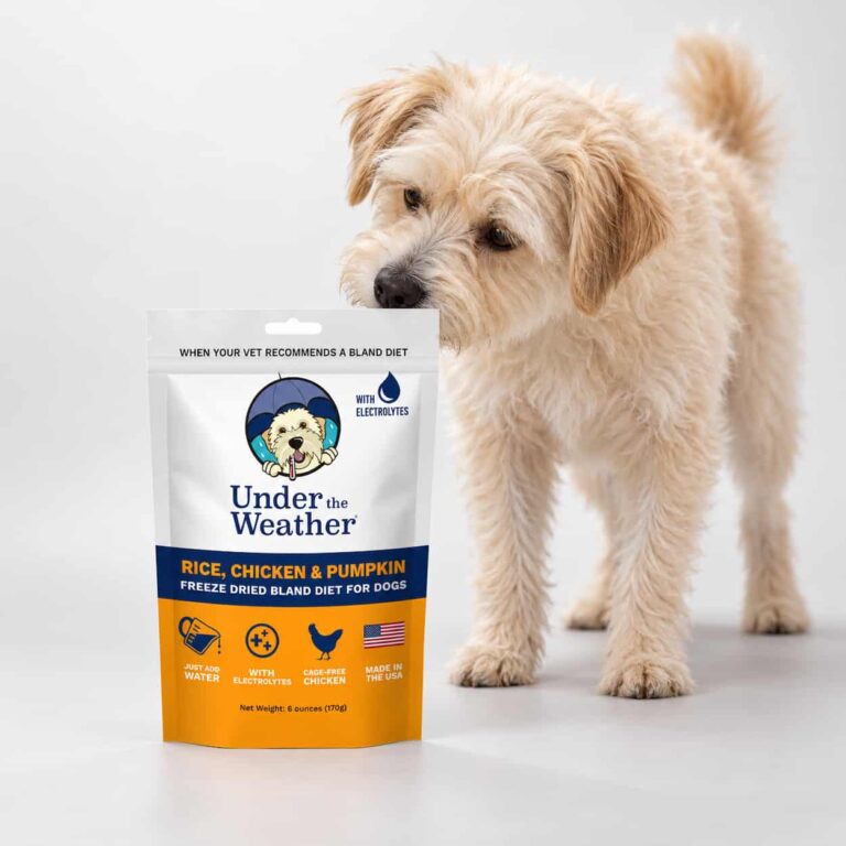 Under the Weather® Bland Diet - Chicken, Rice & Pumpkin w/Electrolytes