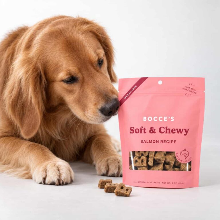Bocce's Bakery® Salmon Soft & Chewy Dog Treats 6 oz