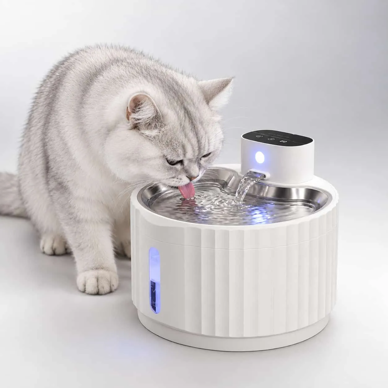 Ripple Motion-Sensor Fountain