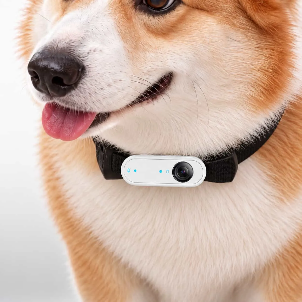 Trek Collar Camera