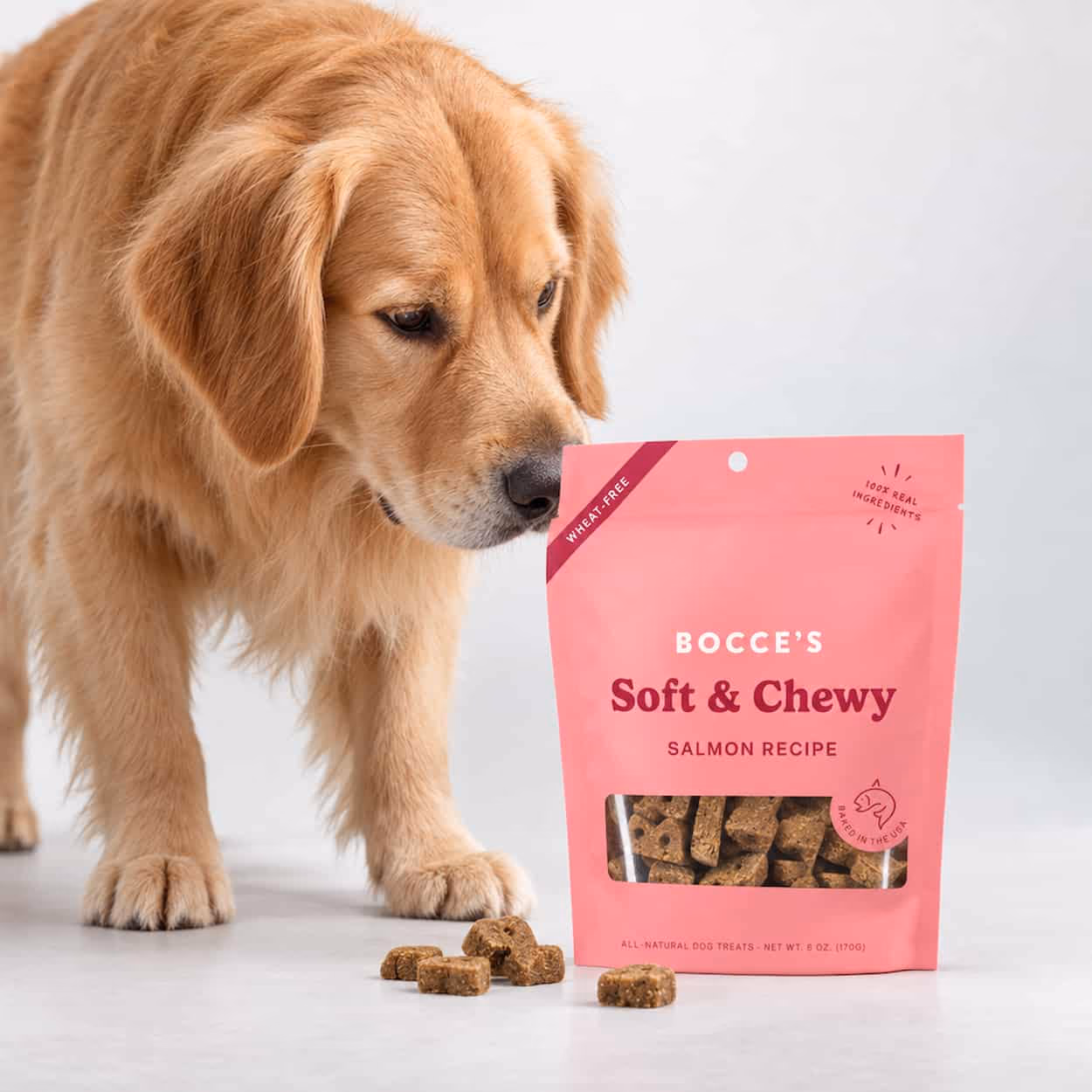 Bocce's Bakery Soft & Chewy Salmon Dog Treats