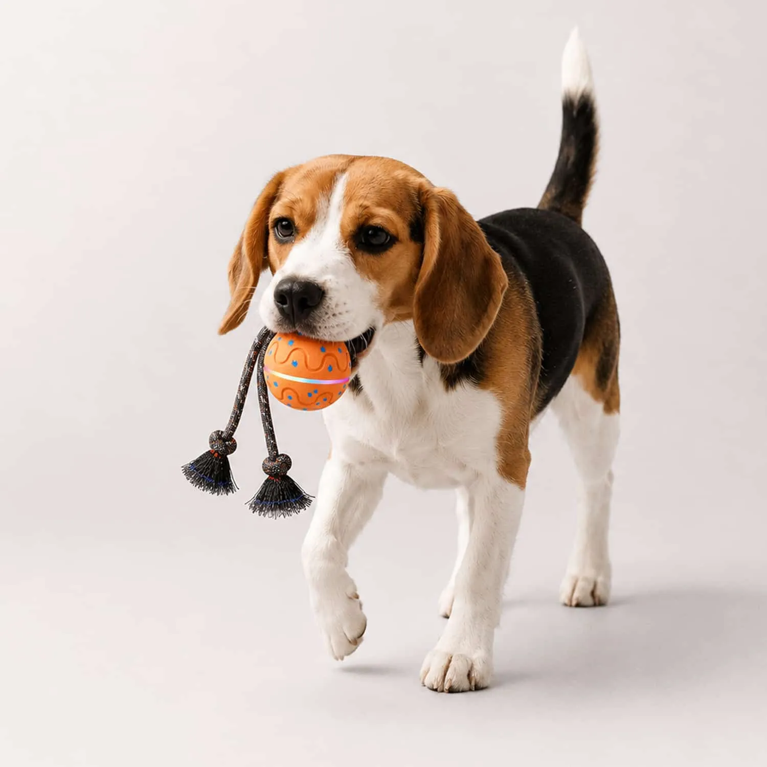 Chirp Interactive Ball