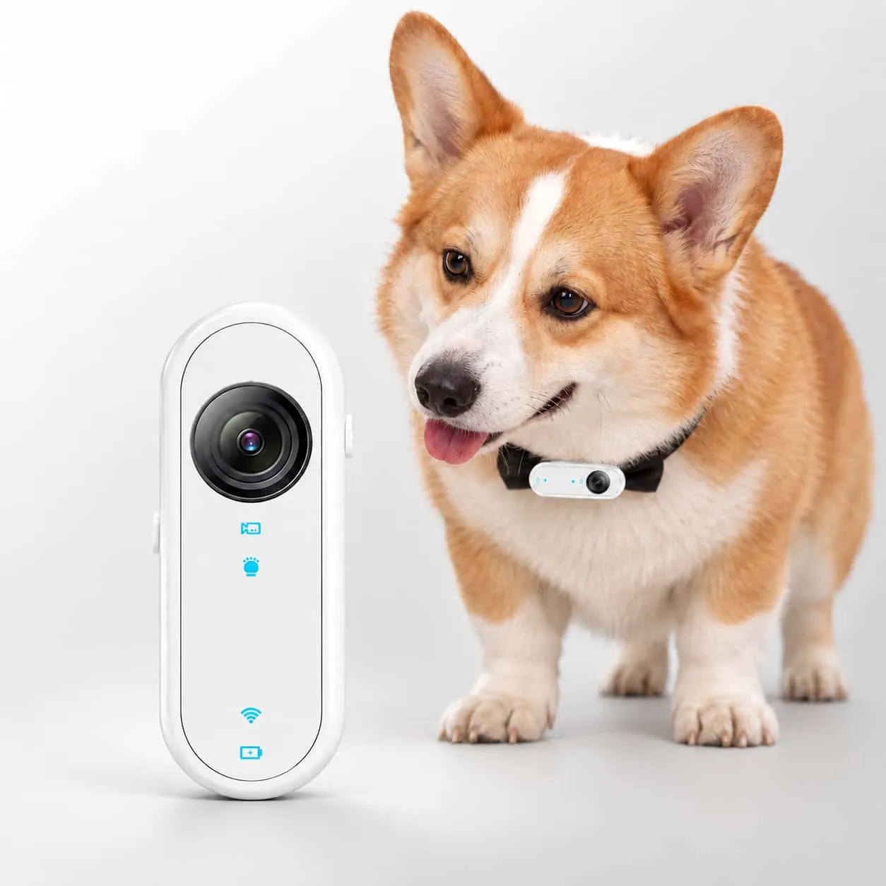 Trek Collar Camera