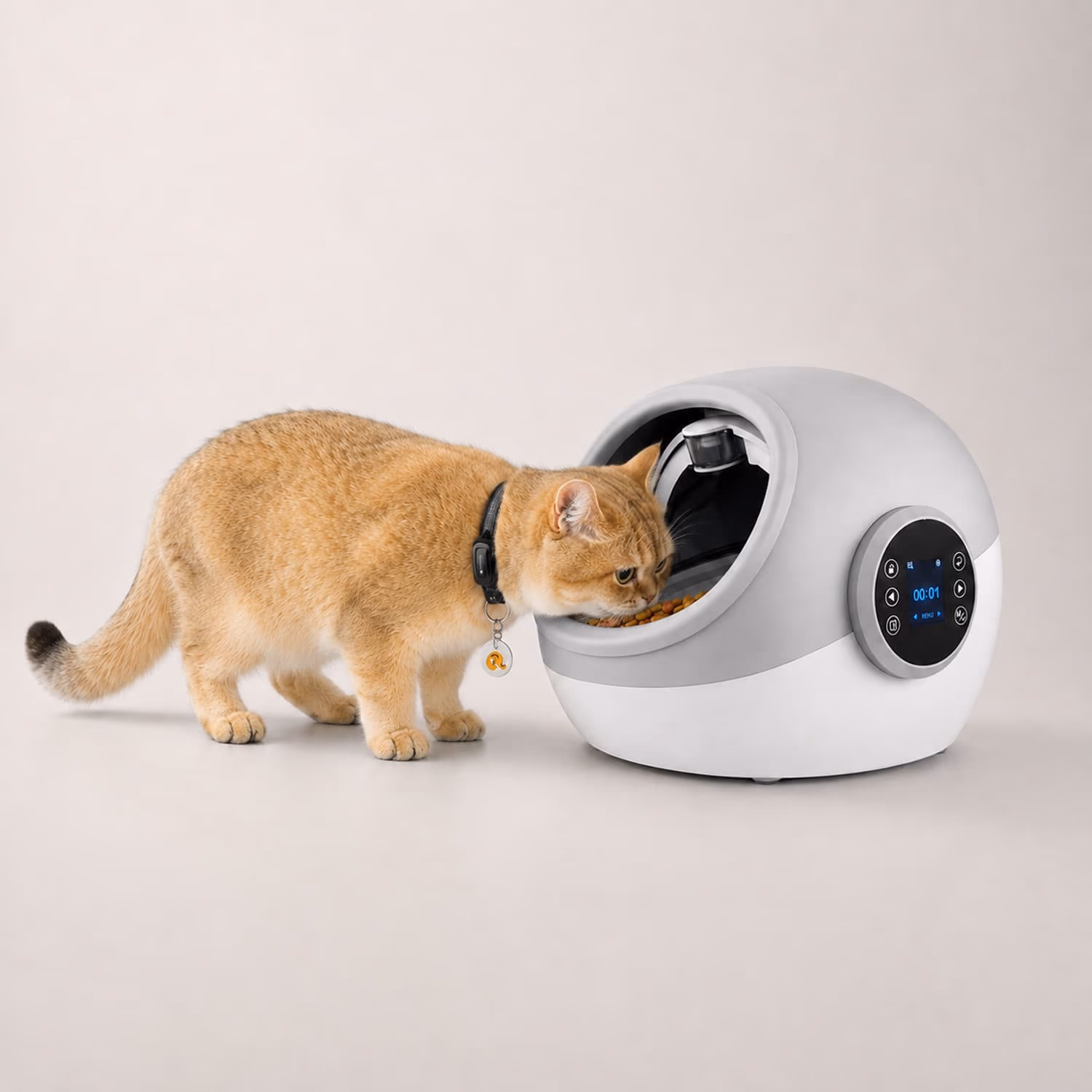 TagGuard Collar-Tag Feeder