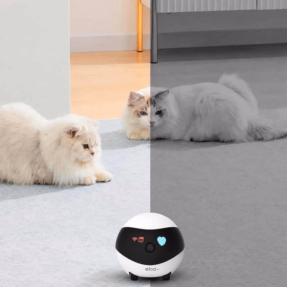 Tumblewatch Rover Camera