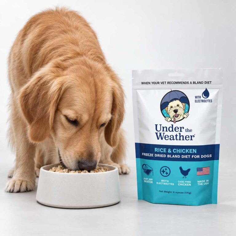 Under the Weather® Bland Diet, Chicken & Rice w/Electrolytes