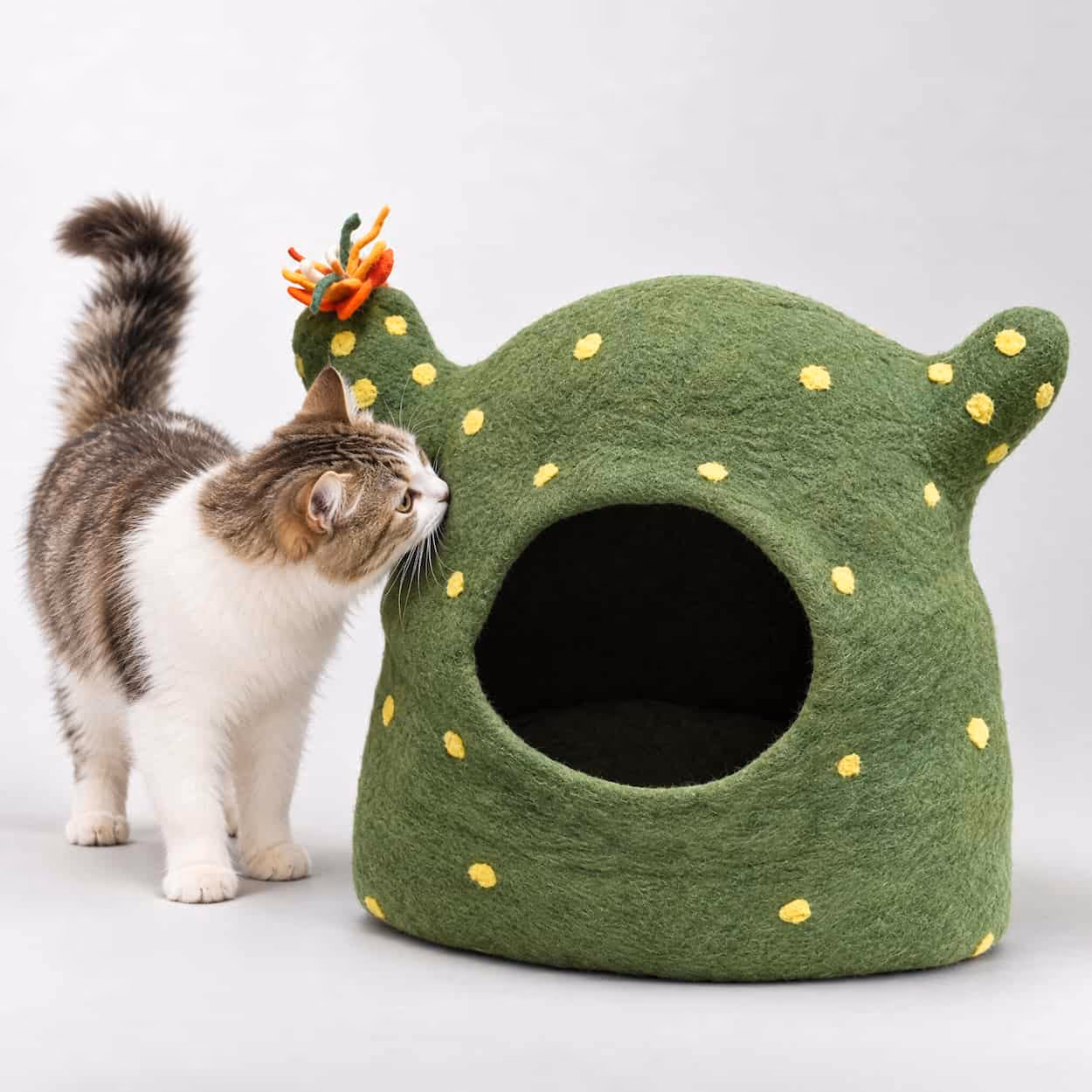 Tuckwool Felt Cave