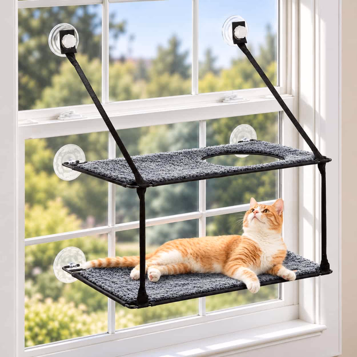 Sunstack Window Perch